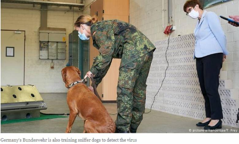 Mengapa Tak Meminta Bantuan Anjing?